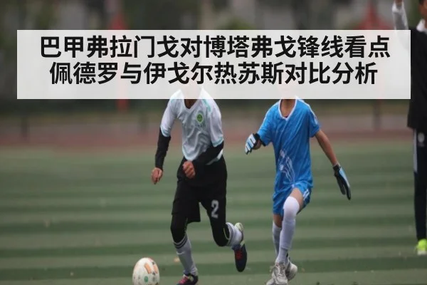 巴甲弗拉门戈对博塔弗戈锋线看点佩德罗与伊戈尔热苏斯对比分析 | kaiyun